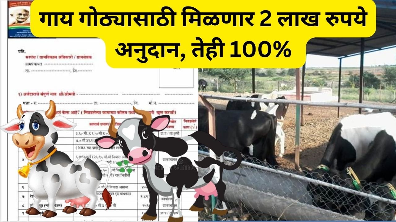 cow Farming