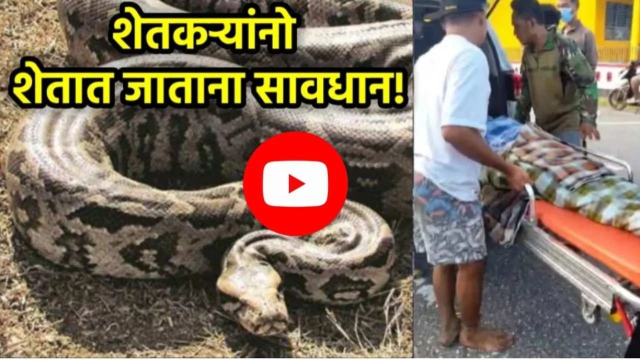 Video viral