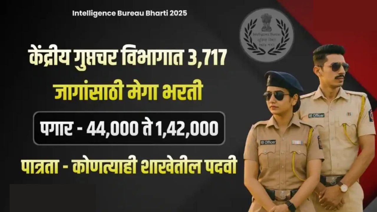 intelligence bureau job