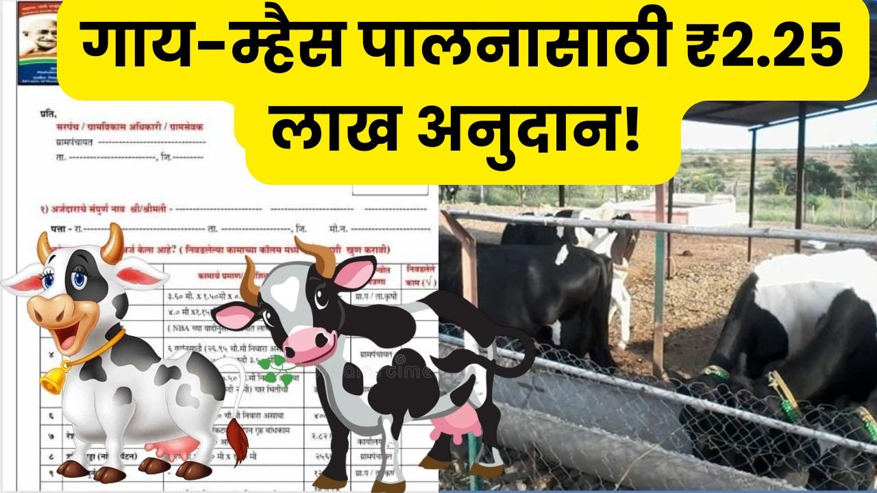 Gai Gotha Anudan Yojana